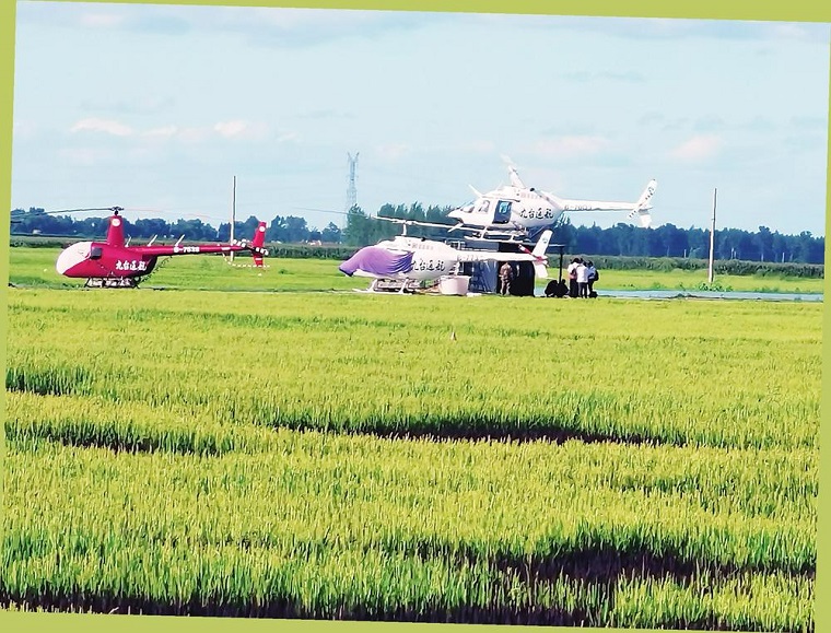 Desa Hongguang Changchun sebagai Desa Padi Tempuh Jalan Baru Pertanian Modern_fororder___172.100.100.3_temp_9500049_1_9500049_1_1_e1322de5-78fa-448c-848b-e9ab64c872af