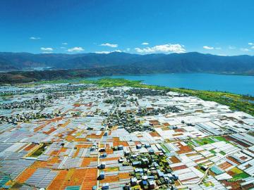 （焦点图，导航成都，移动端）春风来花儿开 四川大凉山处处生机勃勃绿意盎然