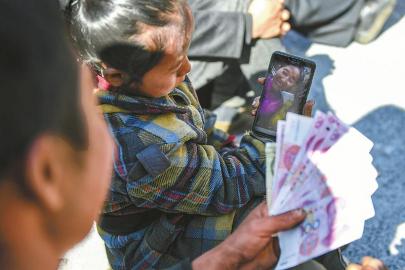 （焦点图，导航成都，移动端）春风来花儿开 四川大凉山处处生机勃勃绿意盎然