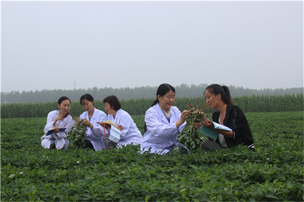 沈阳农业大学农学院院长于海秋：种在大地上的“园丁梦”