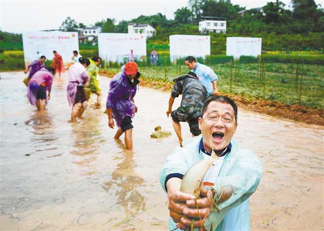 巴渝大地喜庆“中国农民丰收节”