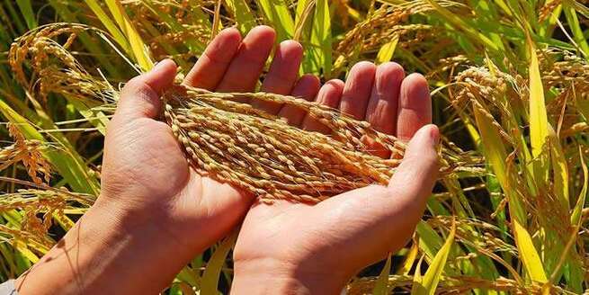 9月23日 水曜日_fororder_0923-1