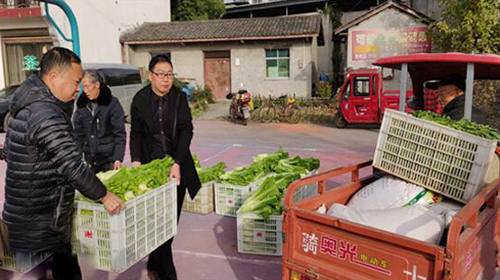 图片默认标题_fororder_1