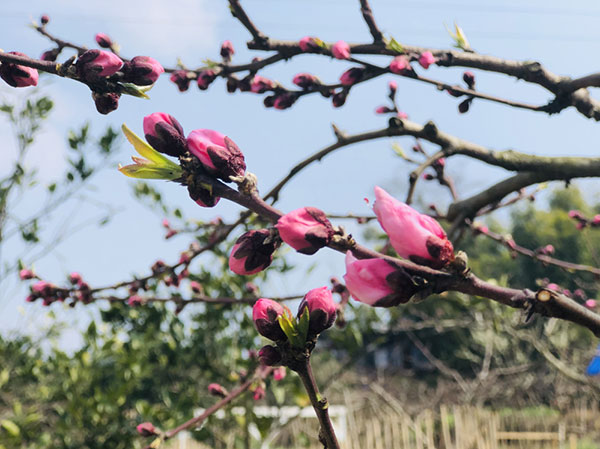 图片默认标题_fororder_3