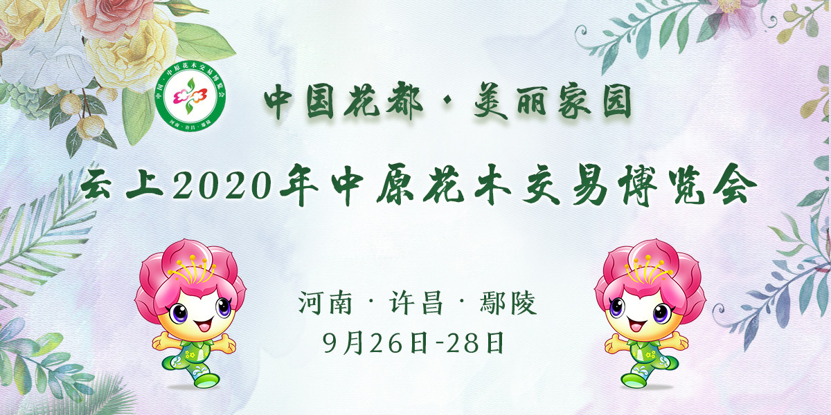 云上2020年中原花木交易博览会_fororder_花博会头图