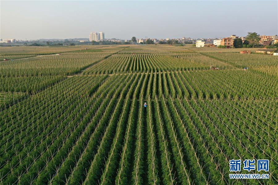 图片默认标题 图片默认标题_fororder_t17