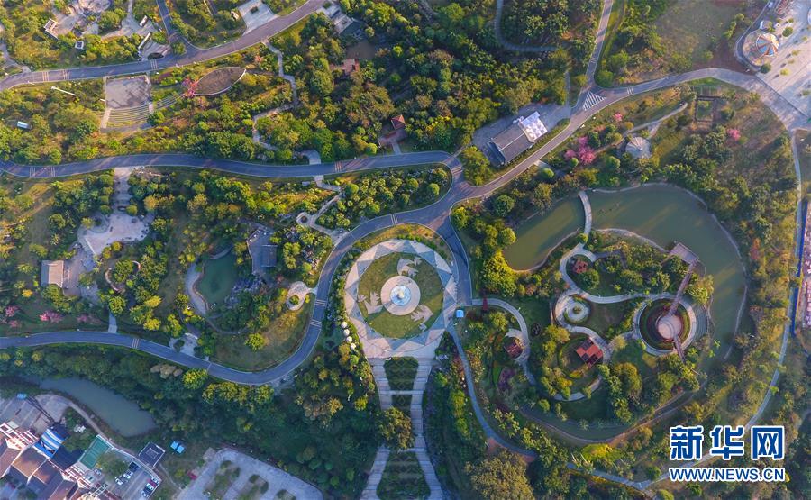 图片默认标题 图片默认标题_fororder_t12