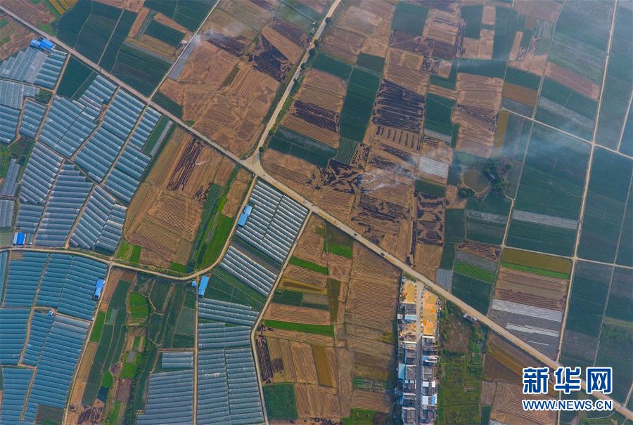 图片默认标题 图片默认标题_fororder_t2