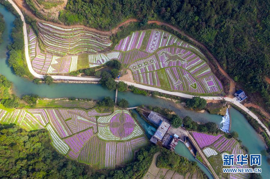 图片默认标题 图片默认标题_fororder_t7