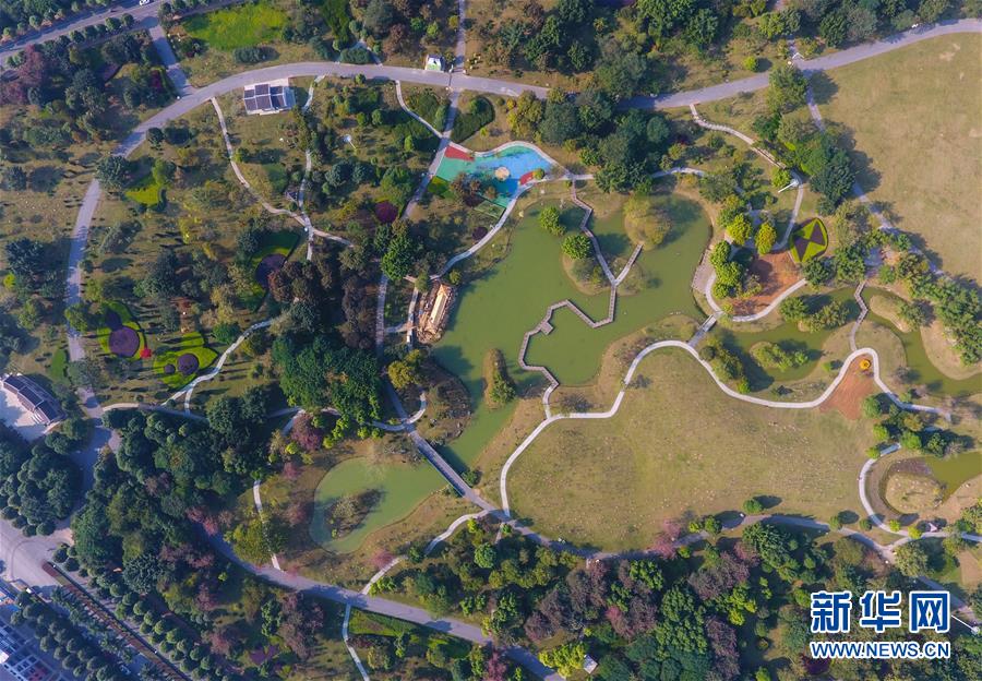 图片默认标题 图片默认标题_fororder_t22