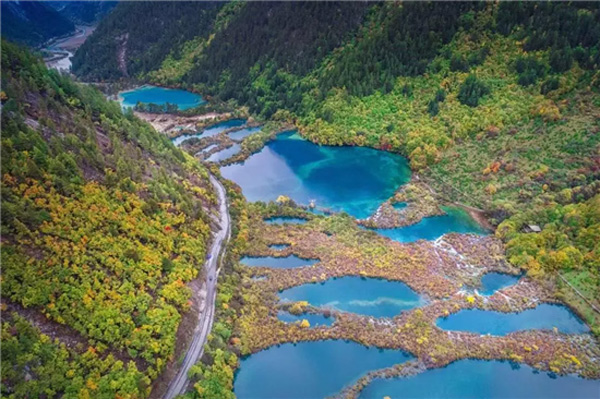 "阿坝州文化体育旅游形象宣传口号征集活动"字样,并将自己的真实姓名