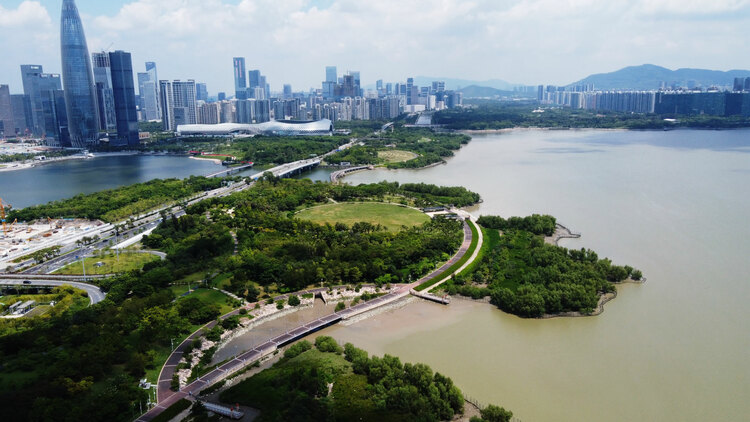 【经济特区40年@治理现代化】航拍广东经济特区辉煌成就