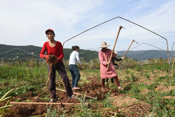 图片默认标题_fororder_2