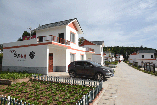 图片默认标题_fororder_1