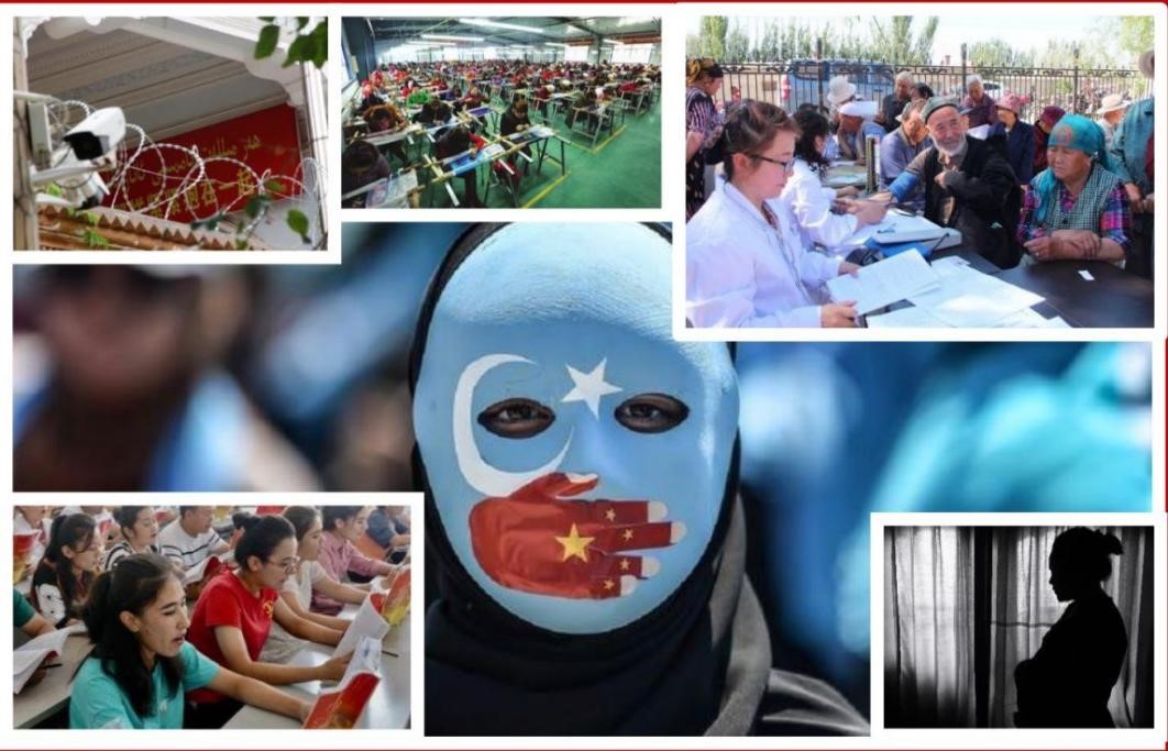 郑国恩所谓新疆维吾尔族“强制绝育”“种族灭绝”独立报告的分析