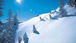 一美国人违规或致德国滑雪小镇疫情