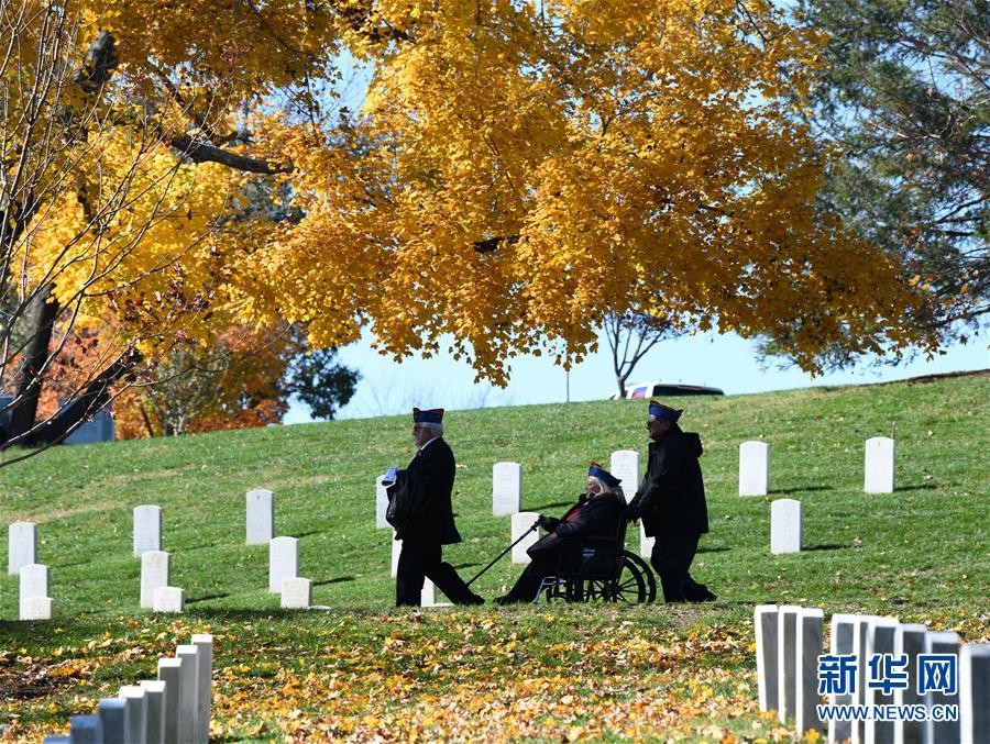 美国举行退伍军人日纪念活动