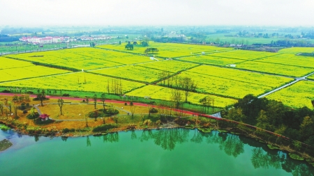 （焦点图，导航成都，移动端）成都公园城市建设已具雏形