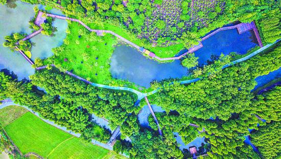 （焦点图，导航成都，移动端）擦亮农业金字招牌 走出乡村振兴新路