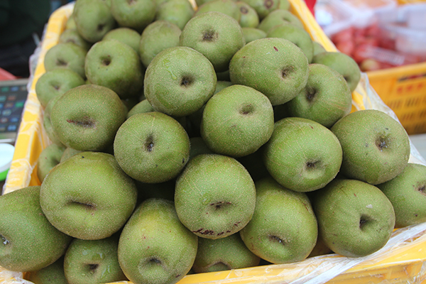 图片默认标题_fororder_芦山县农业特色——有机猕猴桃（雅安市芦山县委宣传部-供图）