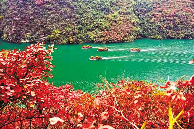 【区县联动】【巫山】重庆巫山红叶节16日开幕 【区县联动】【巫山】重庆巫山红叶节16日开幕
