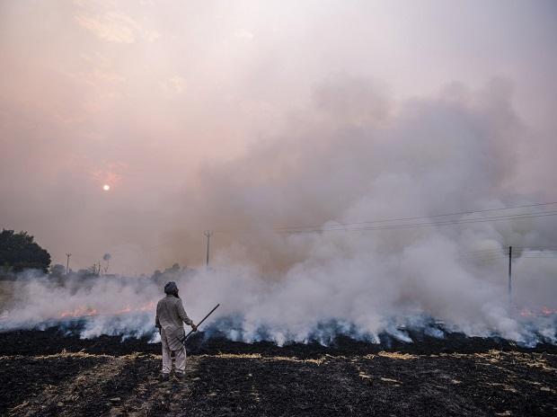 水稻收割季到 印度新德里周边焚烧稻秸致空气污染