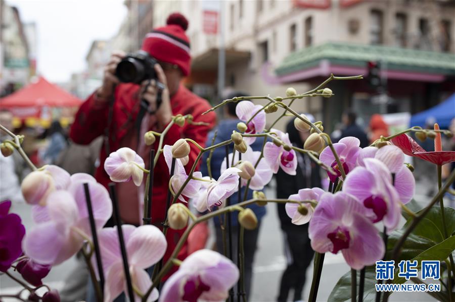 新华网■旧金山春节花市