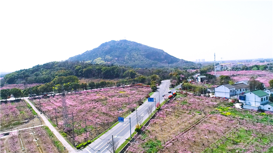 （B 财经列表 移动版）恒丰银行创新服务 助力无锡阳山水蜜桃产业发展