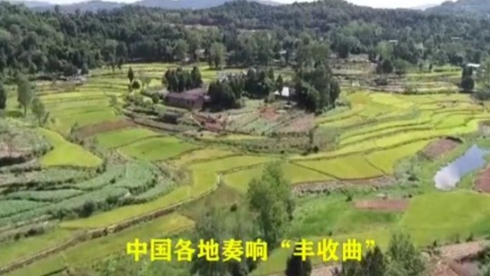 중국 각지서 울려퍼진 '풍작의 노래'