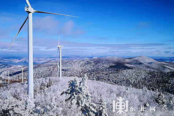 太平沟国家级自然保护区现“红装素裹”冬日美景