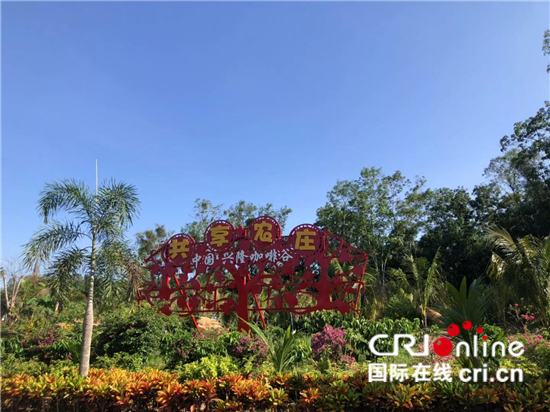 Hirup Kopi Pahit, Kenyam Kehidupan Bahagia_fororder_xk2