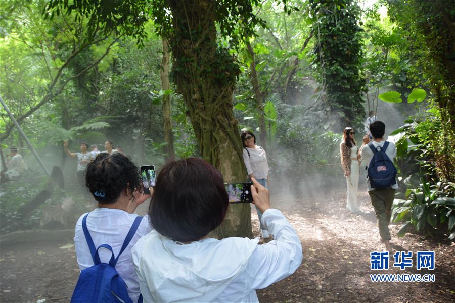 厦门市园林植物园醉游人