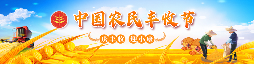 2020中国农民丰收节_fororder_丰收节980-250