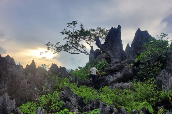 เยี่ยมชม “ป่าหินคาร์สต์” เกาะไห่หนาน_fororder_karst2