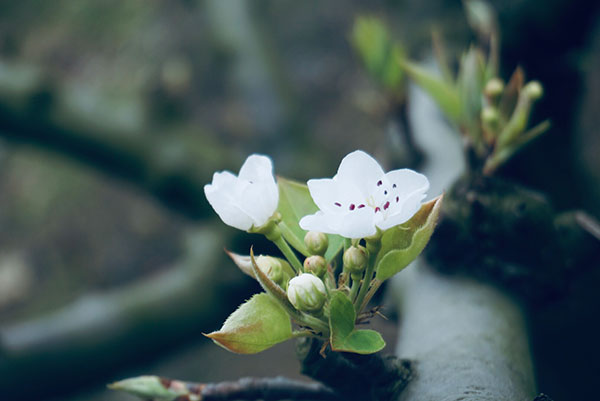 图片默认标题_fororder_3