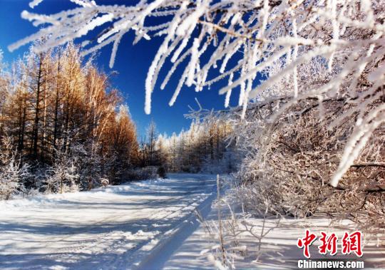 图片默认标题_fororder_J4