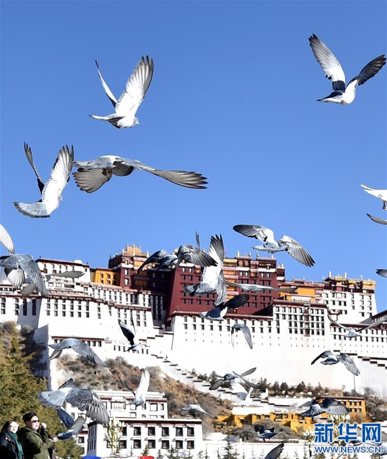 西藏：春日拉萨