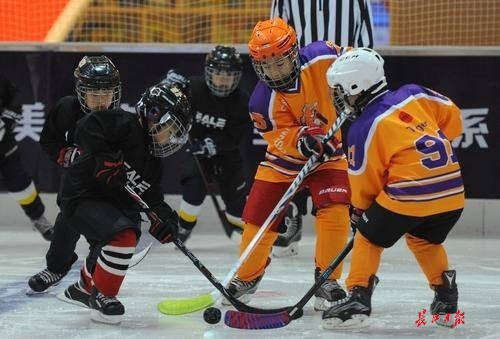 湖北省第二届大众冰球锦标赛在武汉举行