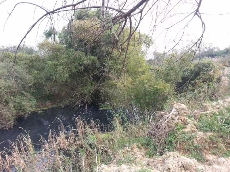 图片默认标题 图片默认标题_fororder_那考3