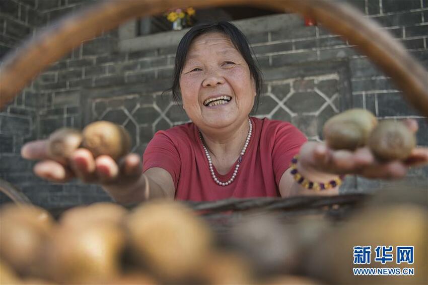 Kota Kuno Dihua yang Tersembunyi di Gunung Qinling_fororder_dihua6
