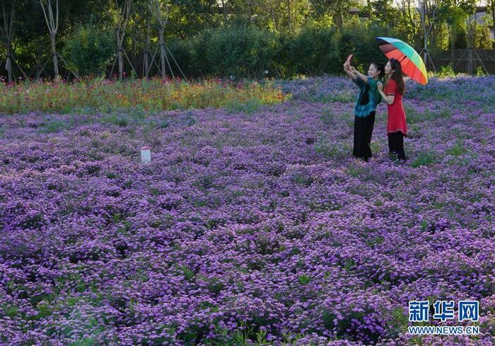 하북 당산: 백년의 광산이 도심 속 정원으로 탈바꿈 하북 당산: 백년의 광산이 도심 속 정원으로 탈바꿈_fororder_6