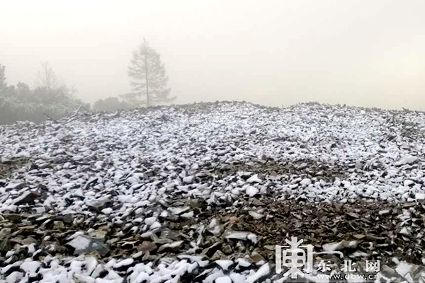 中国最冷小镇呼中迎2020秋后首场降雪