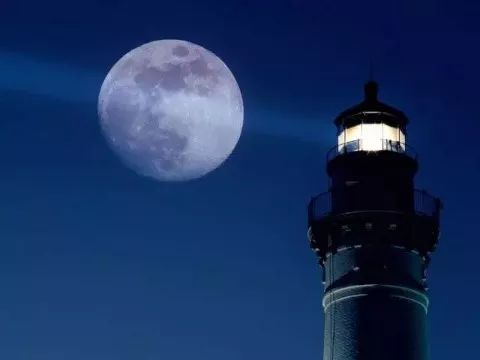 #人民日报#对不起，这个春节我不能回家