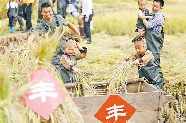 【城市远洋带图】广阳岛举行原乡节活动 孩子们收割水稻体验农耕文化