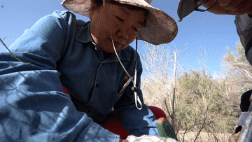 新华社：一年“吃土”200天的“沙漠美容师”