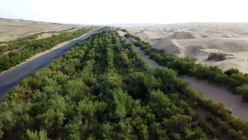 新华社：一年“吃土”200天的“沙漠美容师”