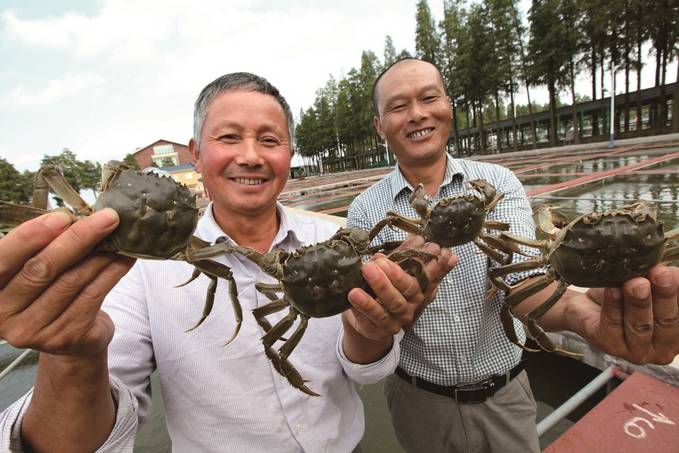 第二十届中国·高淳固城湖螃蟹节正式启幕