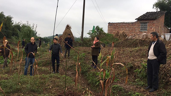 图片默认标题_fororder_街道农技人员向村民讲解苦竹种植要领