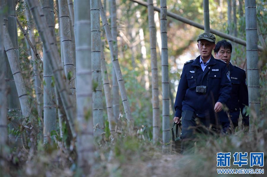 新华网■（新春走基层）一座山，一辈子——走进赣江源