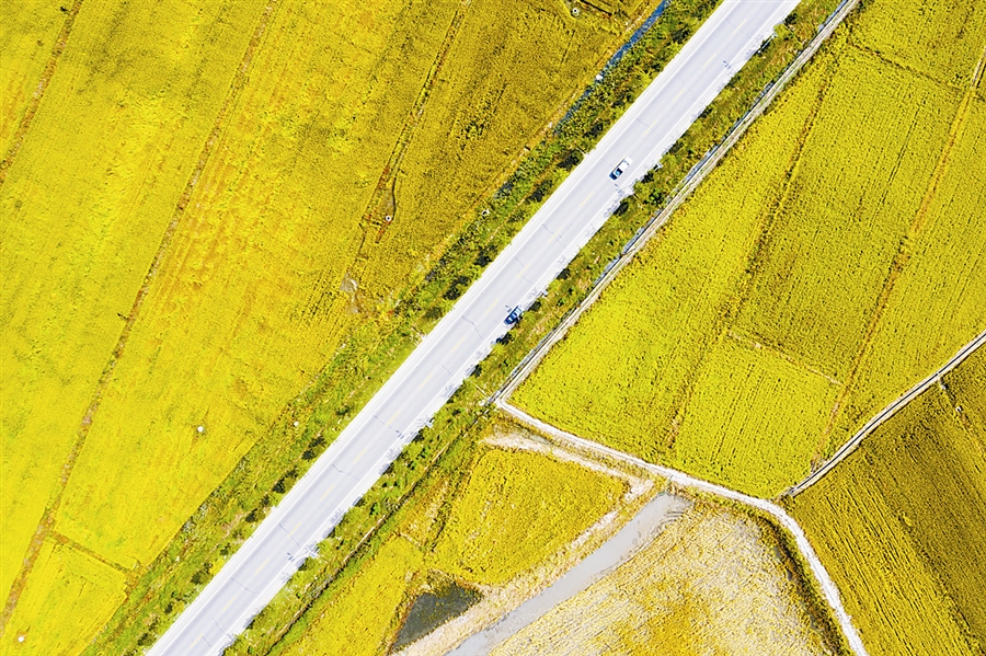 大连:丰收是大地的“信条”